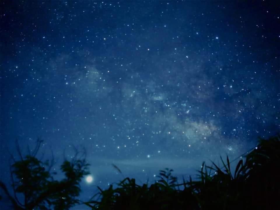 גרין איילנד Sanasai Inn מראה חיצוני תמונה